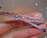 自分で作くればたっぷり!いくらの醤油漬け作り方3写真