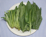 簡単☆絶品☆乾燥ほうれん草のおひたし作り方1写真