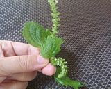 自信作☆筋子から作るイクラの醤油漬け♪作り方17写真