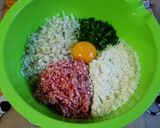台湾風オカラ入りもやし餃子作り方1写真