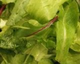 mama'sまぐろアボカドのサラダライス作り方4写真