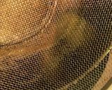 ザルで落し蓋作り方3写真