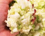 白菜たっぷり♪うちの餃子♪作り方3写真