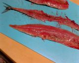 簡単♪活きのいい秋刀魚☆裁いてトロ刺身作り方6写真