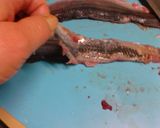簡単♪活きのいい秋刀魚☆裁いてトロ刺身作り方7写真
