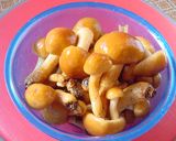 お店の味を再現。なめこ豆腐作り方5写真