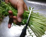 簡単♪豆苗のナムル♥作り方2写真