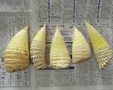 旬 春パスタ(アサリ/筍/きぬさや)作り方1写真
