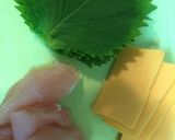 ささみチーズの春巻き作り方1写真