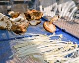 梅こぶ茶でそら豆ごはん　干しえのき入り！作り方7写真