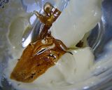コーヒー風味のヨーグルトチーズケーキ作り方8写真