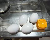 節約ゆでたまご作り方1写真
