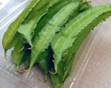 ウチナーンチュが作るうりずん豆の炒め物作り方1写真