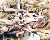 土鍋で簡単！さんまの炊き込みご飯作り方7写真