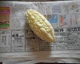 白ゴーヤの肉詰め作り方1写真