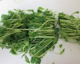 豆苗と豚肉のミルク仕立て作り方1写真