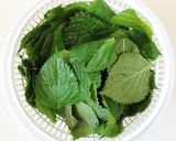 大葉ペーストで❀大葉の胡桃おかか作り方1写真