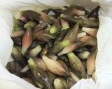 みょうがの粕漬け作り方3写真