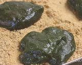 白玉粉で作る♪簡単よもぎ大福作り方6写真