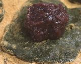 白玉粉で作る♪簡単よもぎ大福作り方7写真
