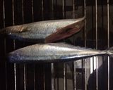 元魚屋が教える！美味しい秋刀魚の塩焼き作り方5写真