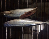 元魚屋が教える！美味しい秋刀魚の塩焼き作り方5写真