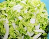 さっと1品＊白菜の塩もみでイタリアン作り方1写真