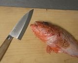 釣りたて☆オニカサゴのお刺身作り方2写真
