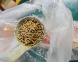 スパイシー塩麹鯖グリル作り方3写真