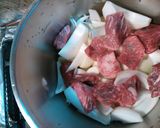 冬瓜大量消費カレー作り方2写真