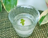 和梨りんごＤＥまぁるい氷作り方5写真