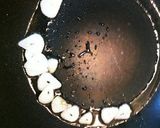 キノコとエビ☆ビールのお供作り方4写真