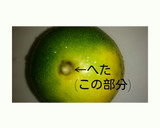 皮を器に★みかんゼリー(✪̼o✪̼)作り方2写真