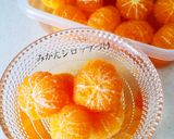 みかんのシロップづけ作り方9写真