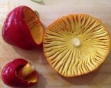 タマゴタケのカルボナーラ作り方1写真