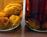 極上の手作り梅酒（1）日本酒×南高梅3L作り方9写真