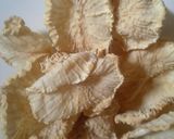 おもてなしお漬物　香り巻き作り方1写真
