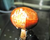 手間ひまかけて♡美味しい栗の渋皮煮♪作り方3写真