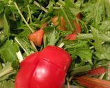 簡単 野菜サラダ作り方1写真