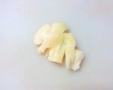 和果ごこち☆鶏手羽元のゆずれもん煮作り方1写真