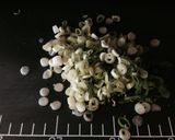 和果ごこち✿海と山の秋味豪華炊込みご飯作り方6写真