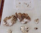 豆腐と舞茸の味噌汁〜(o˘◡˘o) ♡作り方3写真