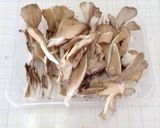 豆腐と舞茸の味噌汁〜(o˘◡˘o) ♡作り方5写真