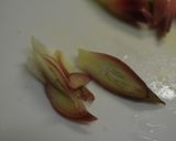 母の味☆みょうがの佃煮♪作り方2写真