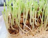 もやしと豆苗で甘辛そぼろナムル風♪作り方6写真