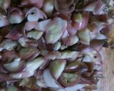 茗荷と生姜の簡単佃煮・・・！作り方1写真