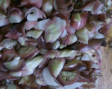 茗荷と生姜の簡単佃煮・・・！作り方1写真