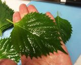 簡単 時短 絶品 リピ確定 エビハムカツ作り方2写真