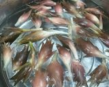 ミョウガとミョウガの花の天ぷら作り方1写真