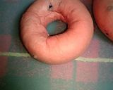 紫の野菜でブルーベリー風ベーグル作り方5写真